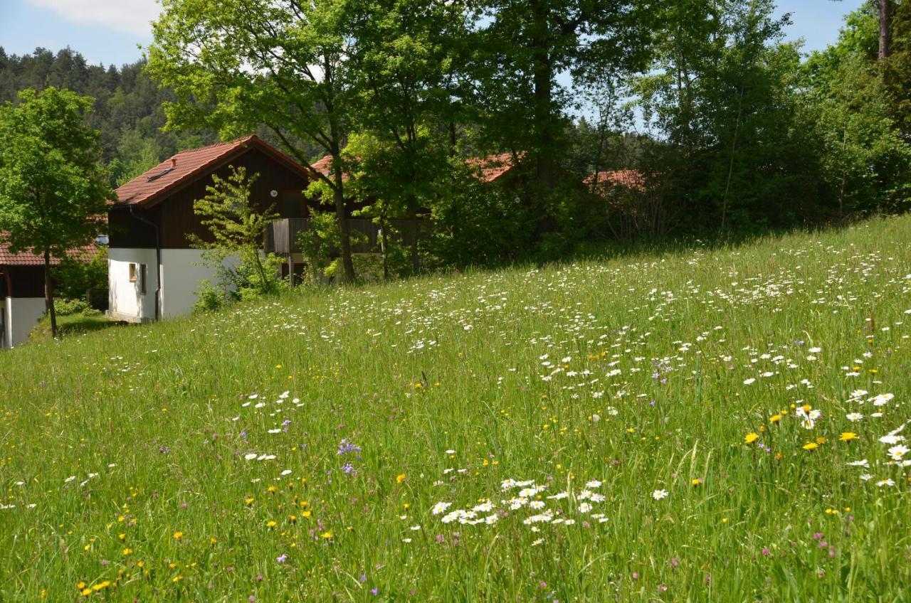 Ferienwohnung Wildgatter Grafenwiesen Exterior foto